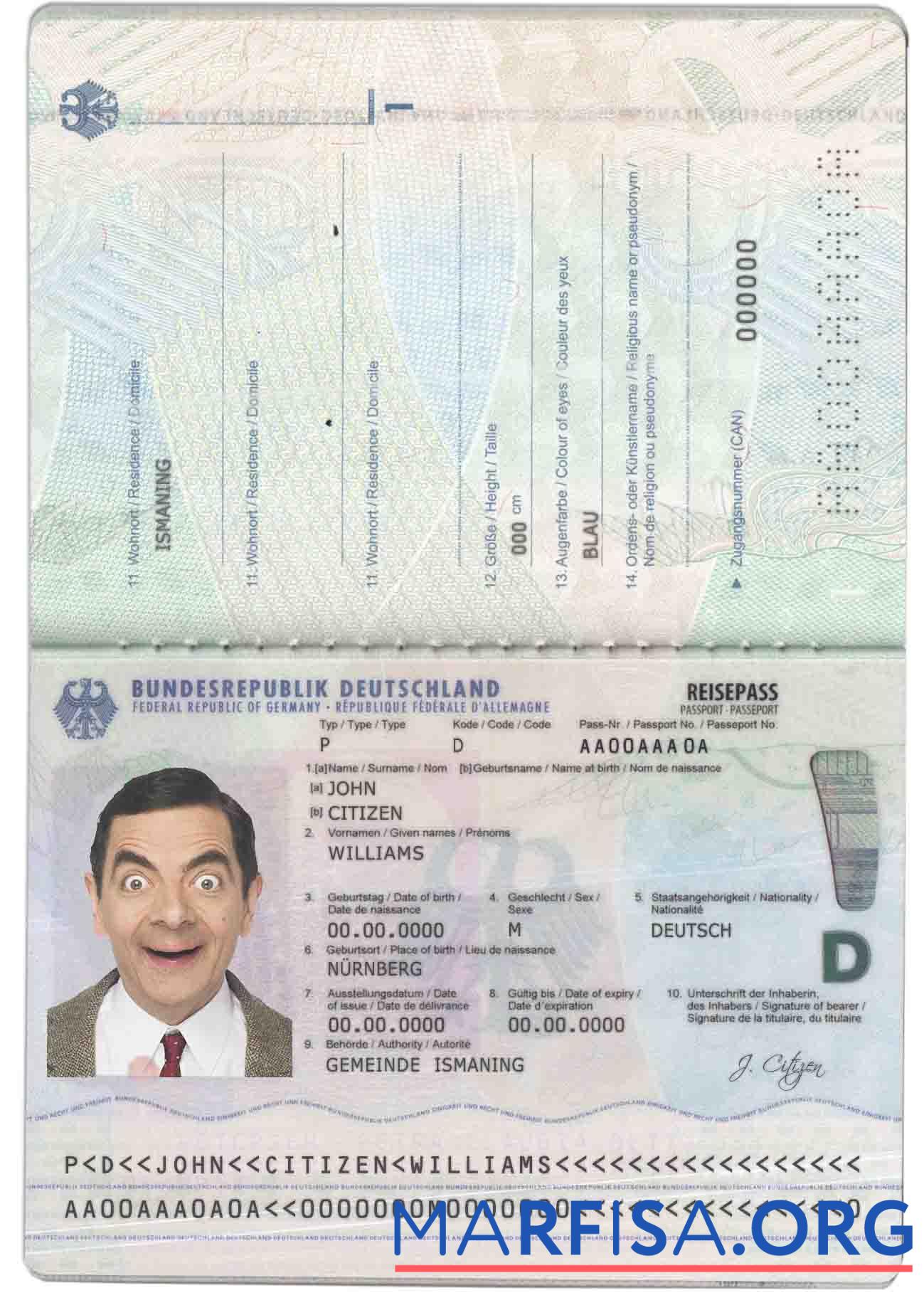 Printable Germany pass(2017 – present) template